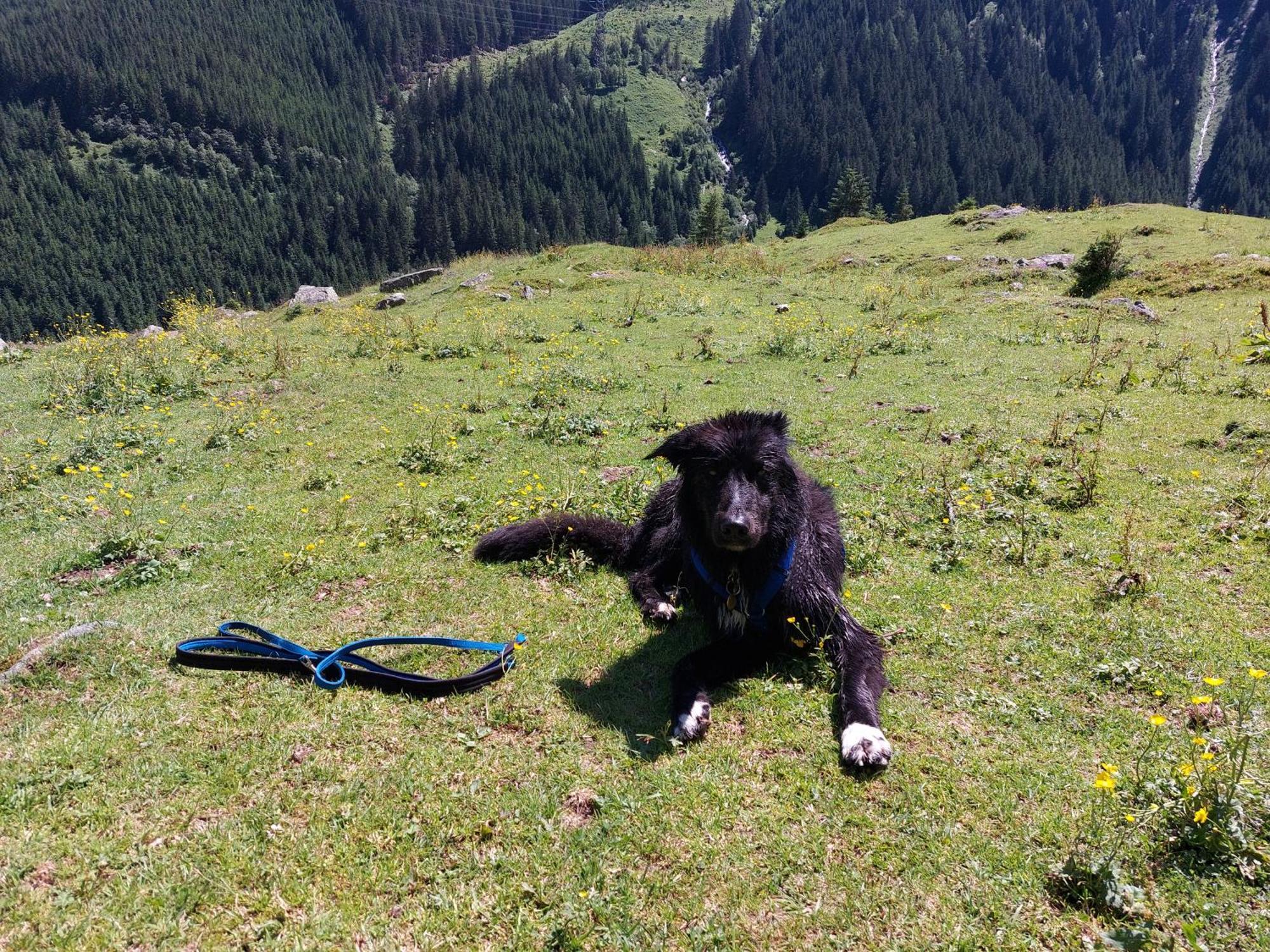Fasserhof Bramberg am Wildkogel Luaran gambar