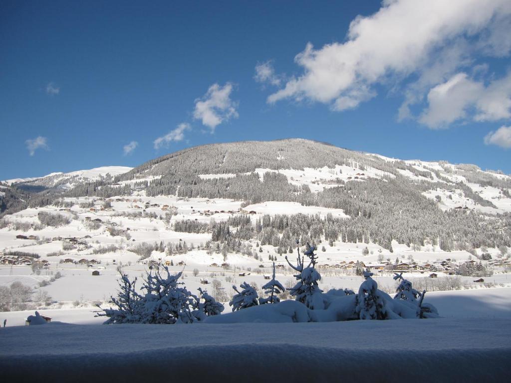 Fasserhof Bramberg am Wildkogel Bilik gambar