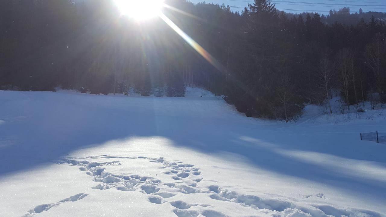 Fasserhof Bramberg am Wildkogel Luaran gambar